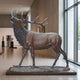 Monumental Bugling Bull Elk Bronze Sculpture by Giant Sculptures shown in a gallery interior, head raised mid-call with wide antlers, warm brown patina on a naturalistic base.