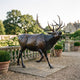 Monumental Bugling Bull Elk Bronze Sculpture by Giant Sculptures shown mid-stride with head raised in bugling call on a manor terrace with balustrade.