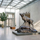 Giant Sculptures Monumental Bugling Elk and Fallen Deer Bronze Sculpture in dark brown patina displayed on a grey plinth in a bright glass-roofed atrium.