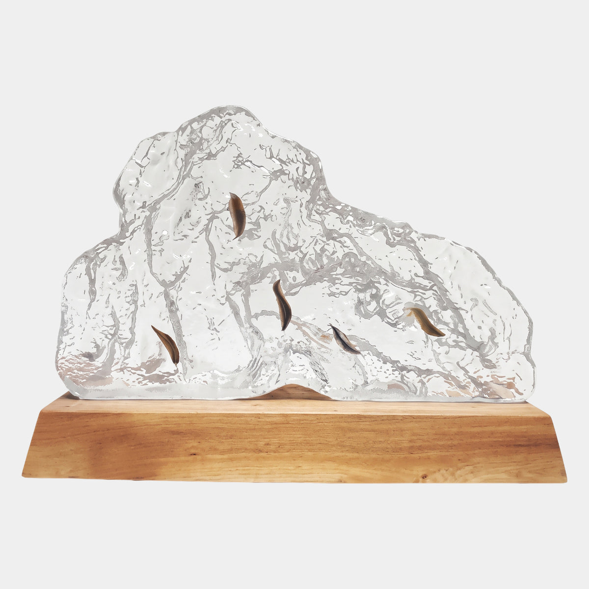 Clear Dried Leaf Domed Rock Resin Sculpture on Wood Base - 50cm