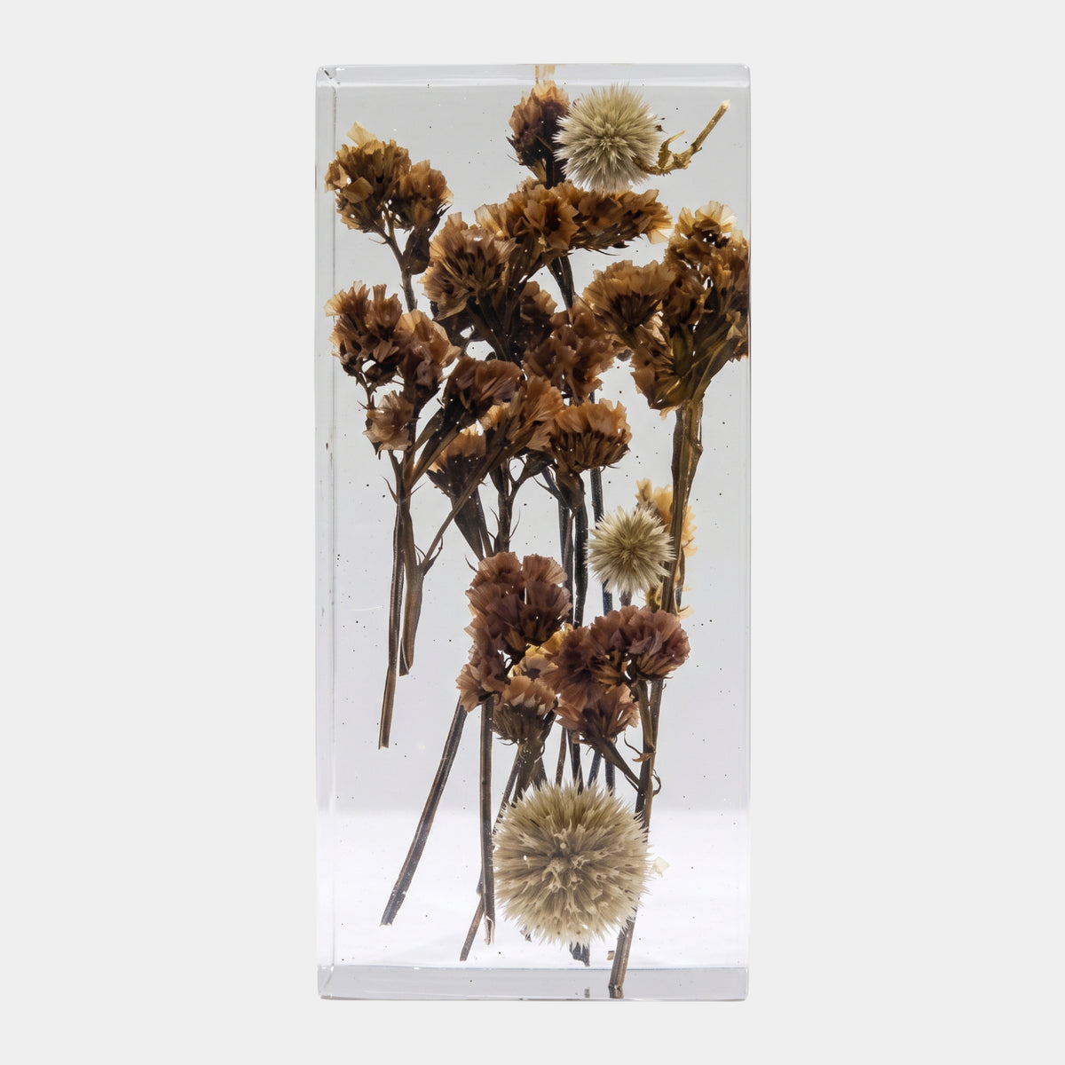 Clear Seed Head & Dried Bloom Block Resin Sculpture - 20cm