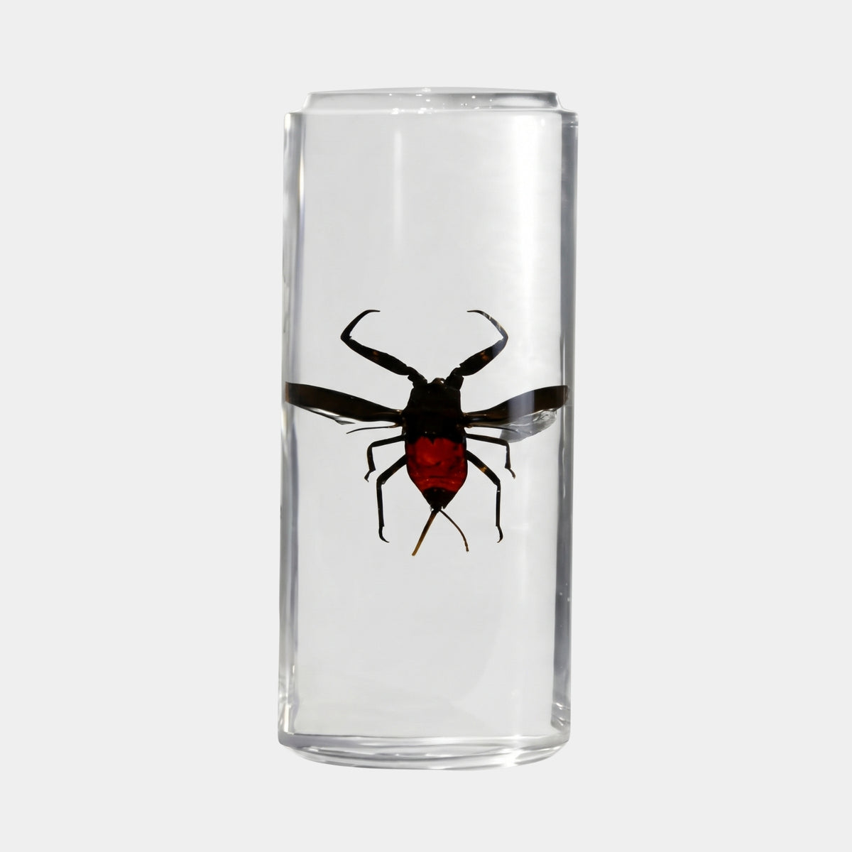 Clear Red Hook-Legged Insect Cylinder Resin Sculpture - 37cm