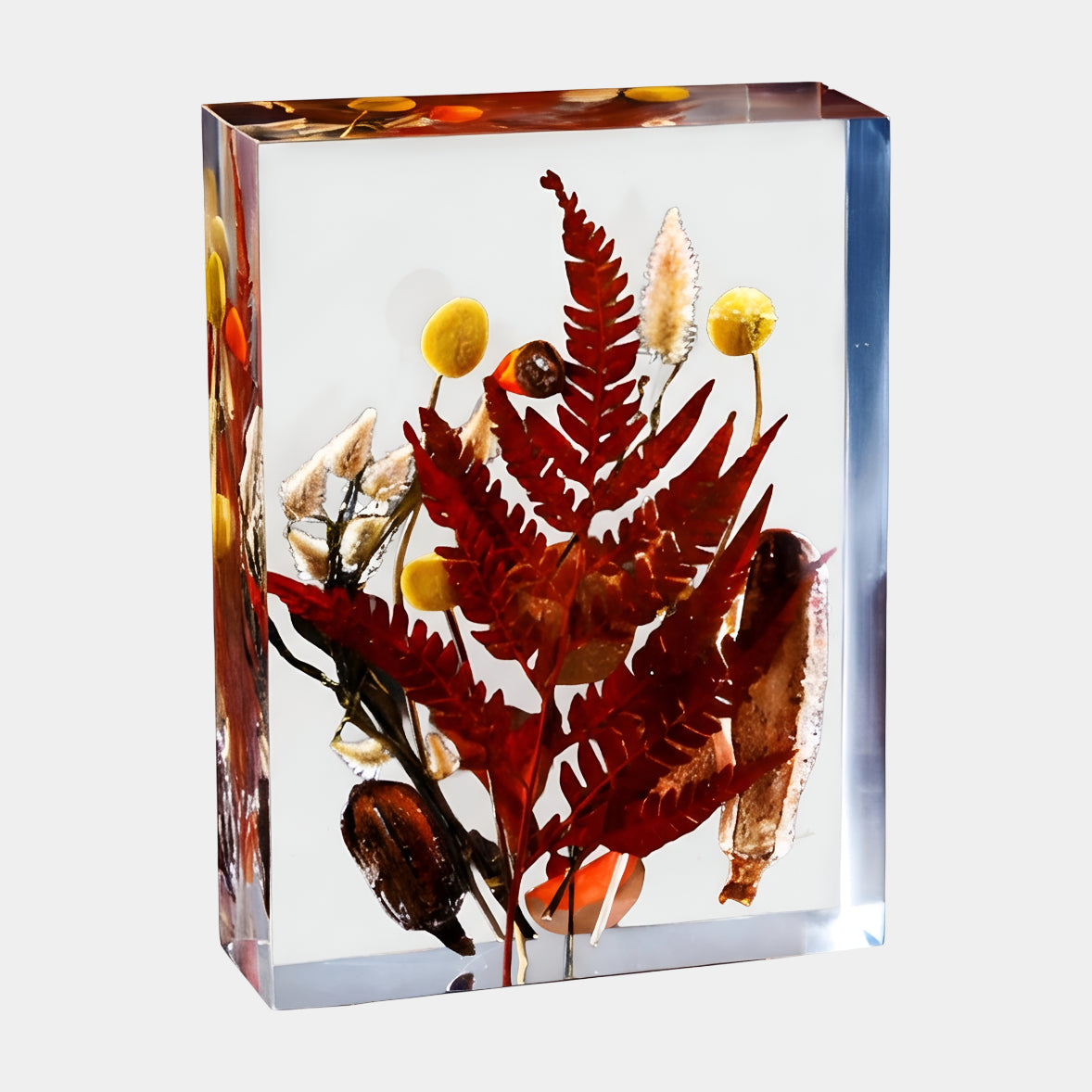 Clear Red Fern Frond Block Resin Sculpture - 27cm