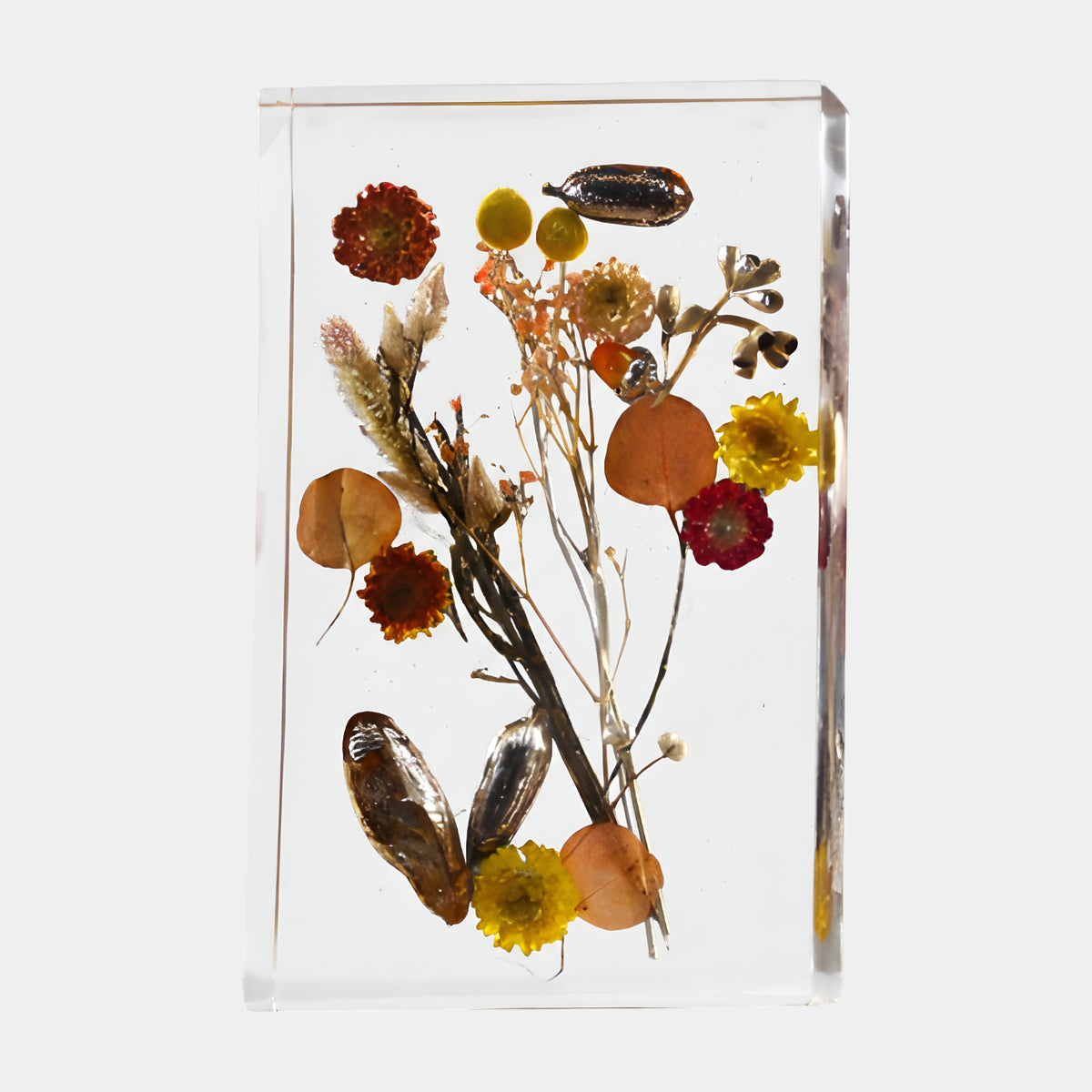 Clear Dried Posy & Seed Pod Block Resin Sculpture - 36cm