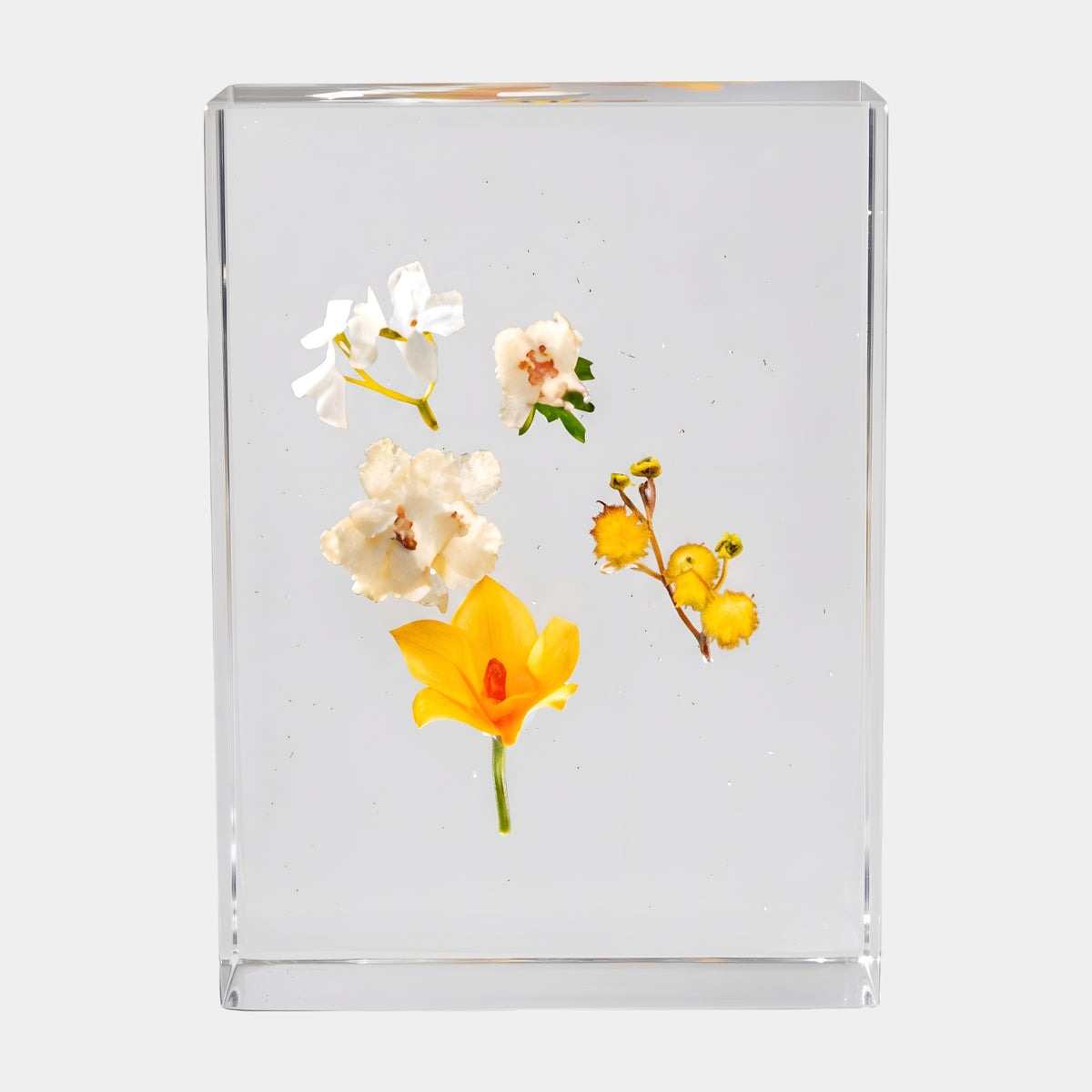 Clear Dried Blossom Medley Block Resin Sculpture - 41cm
