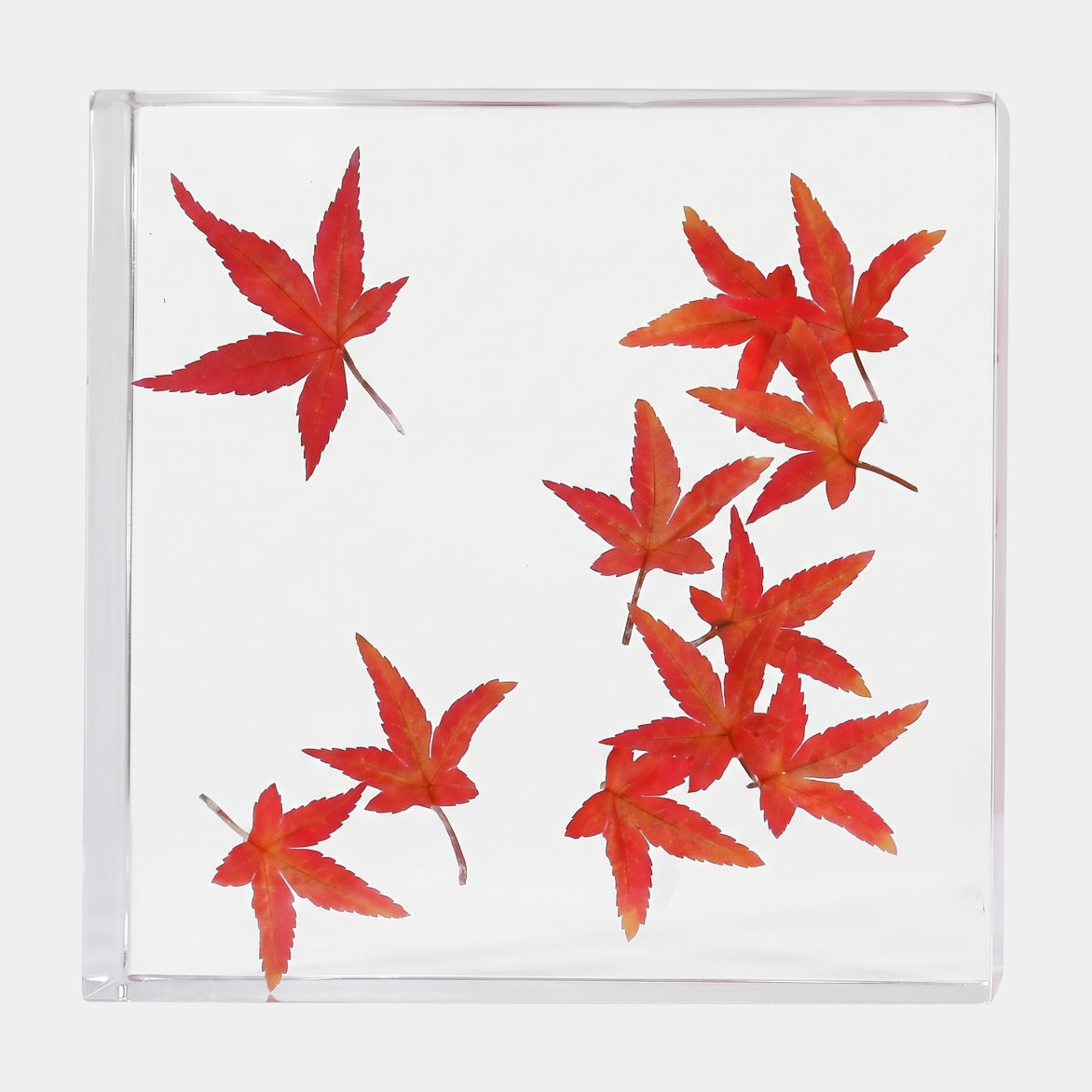 Clear Scattered Red Maple Leaf Block Resin Sculpture - 23cm
