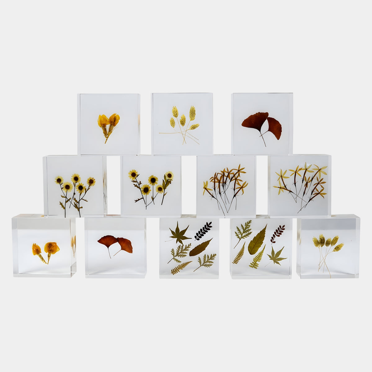 Clear Dried Flower Square Block Resin Sculpture - 14cm