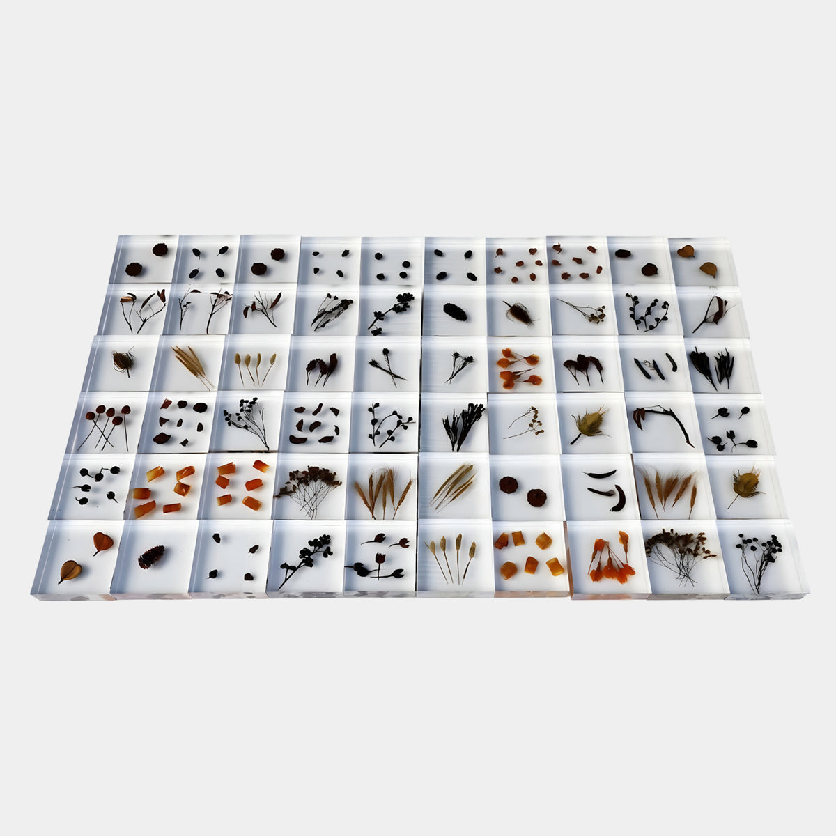 Clear Dried Botanical Square Tile Resin Sculpture - 16cm