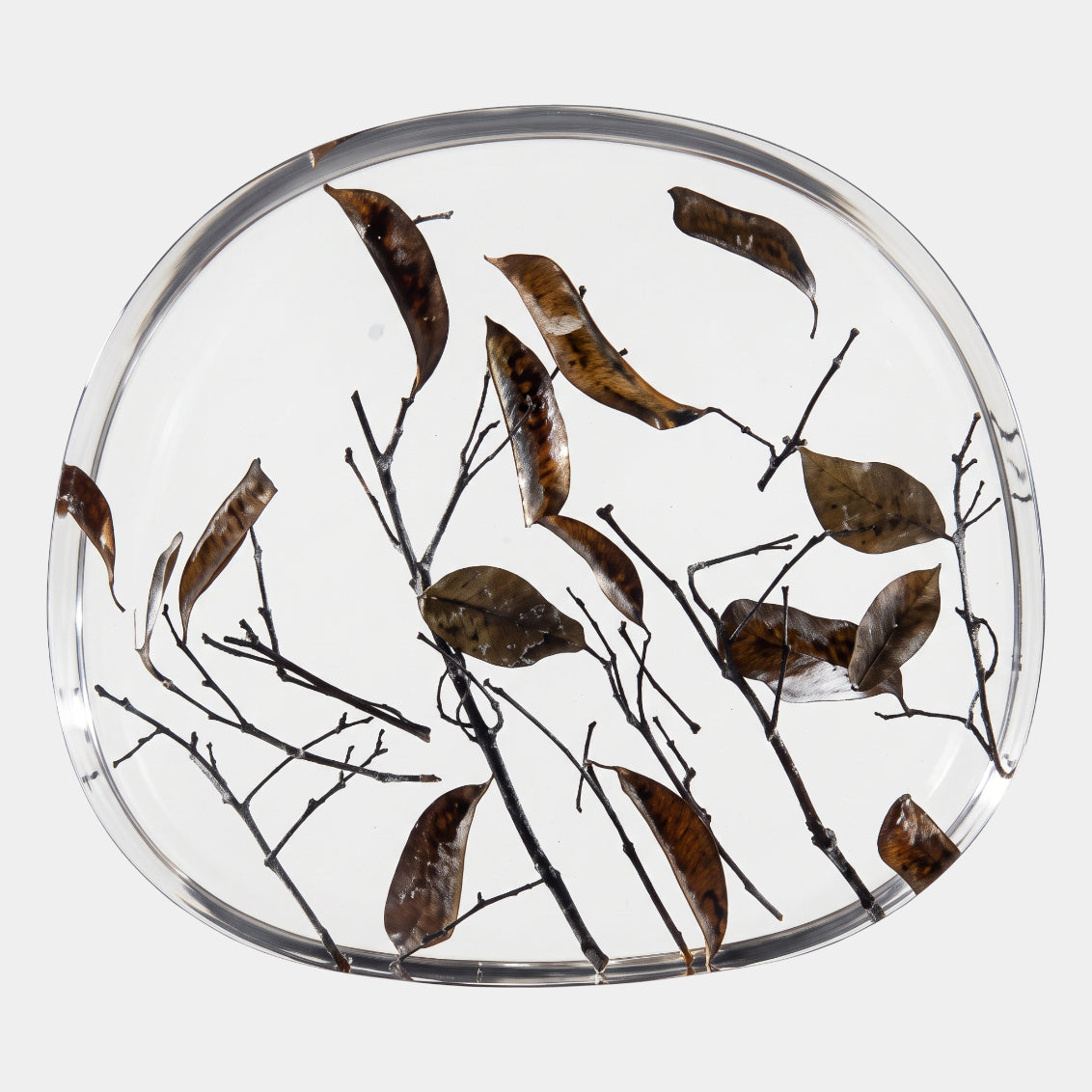 Clear Bare Twig & Curled Leaf Disc Resin Sculpture - 30cm