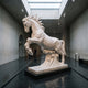 Leaping Horse on Cloud Crest Marble Statue - 250cm, white marble horse rearing on carved cloud base, displayed in a grey concrete gallery with skylight.