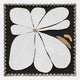 Petala Black & White Bloom Wood Relief 3D Wall Art