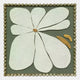 Petala Green & White Bloom Wood Relief 3D Wall Art