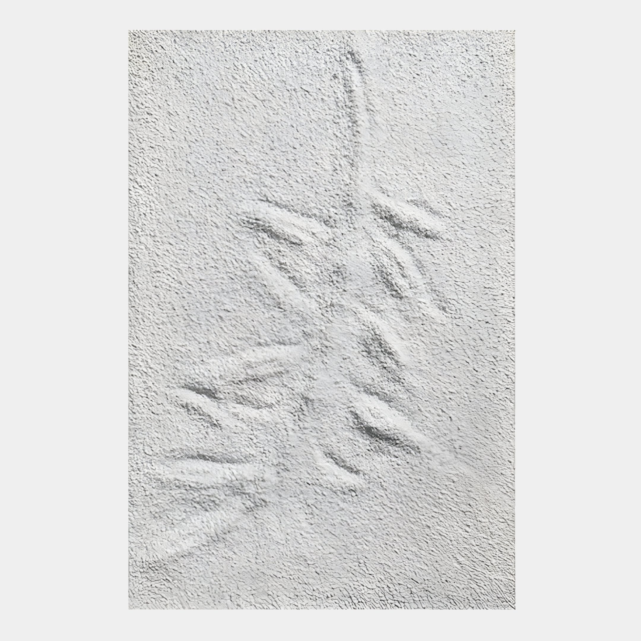Cavara Leaf Crest Textured White 3D Relief Wall Art