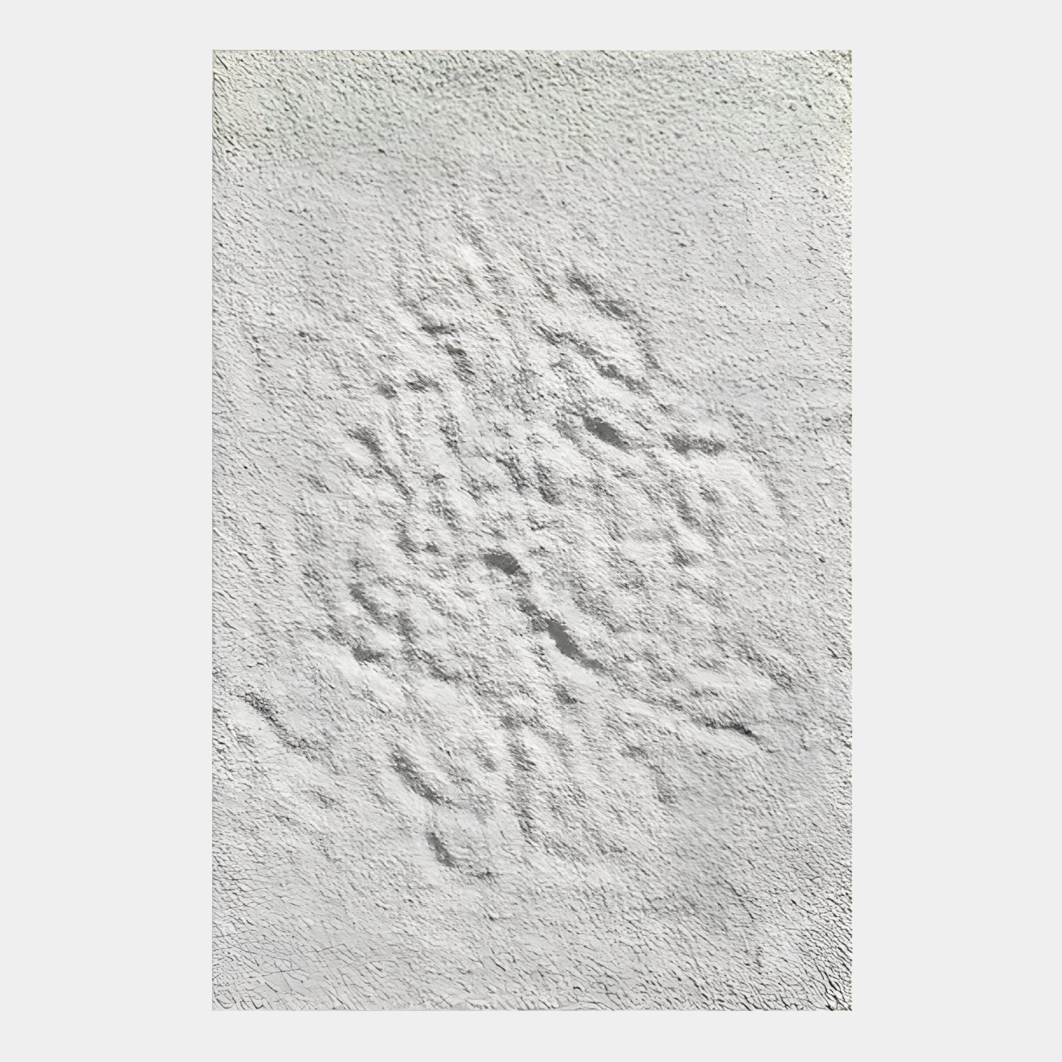 Cavara Ridge Bloom Textured White 3D Relief Wall Art