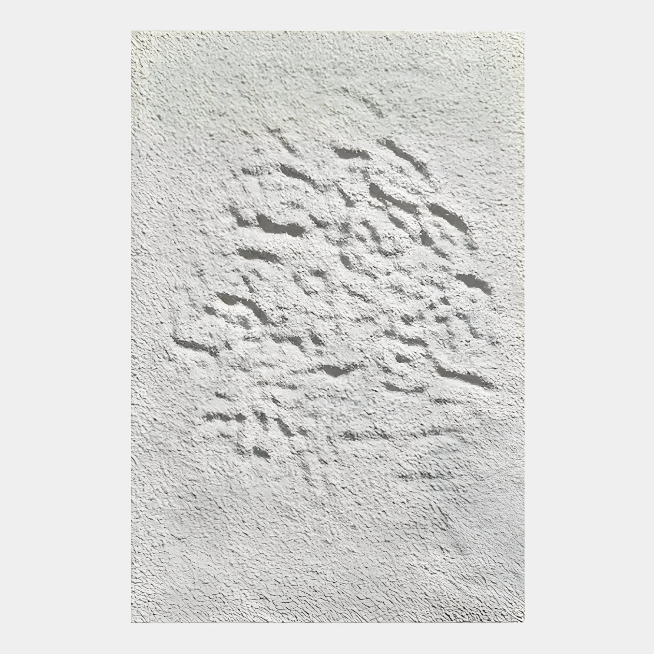 Cavara Foliage Textured White 3D Relief Wall Art
