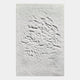 Cavara Foliage Textured White 3D Relief Wall Art