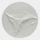 Selene V White Sandstone Textured 3D Wood Relief Wall Art, round disc with abstract eroded surface in white tones, shown on a plain light background.