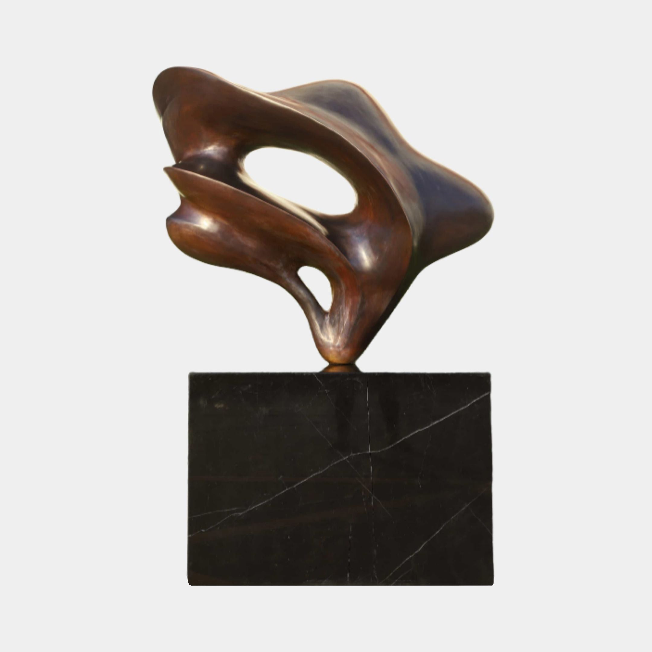 Bronze Abstract Organic Form Metal Sculpture by Giant Sculptures, with flowing biomorphic curves and a central void, mounted on a black marble base.