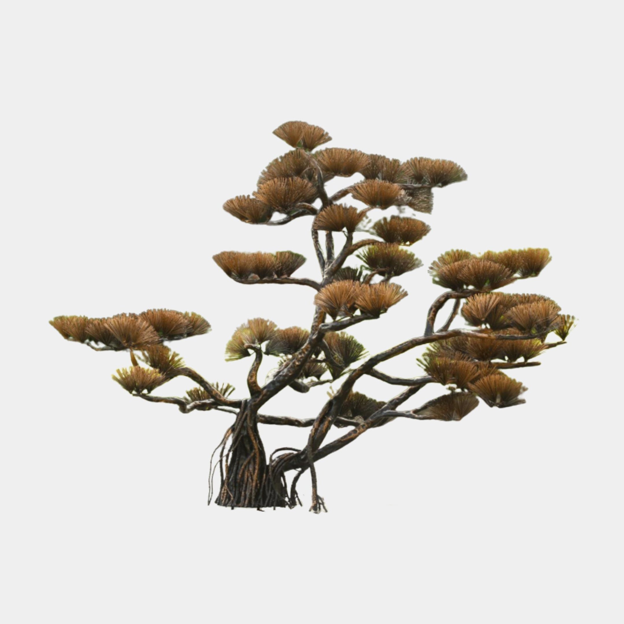 Giant Sculptures Large Bronze Gnarled Pine Tree Metal Sculpture 180cm with twisted textured trunk, exposed roots, and amber needle fan clusters on a white background.