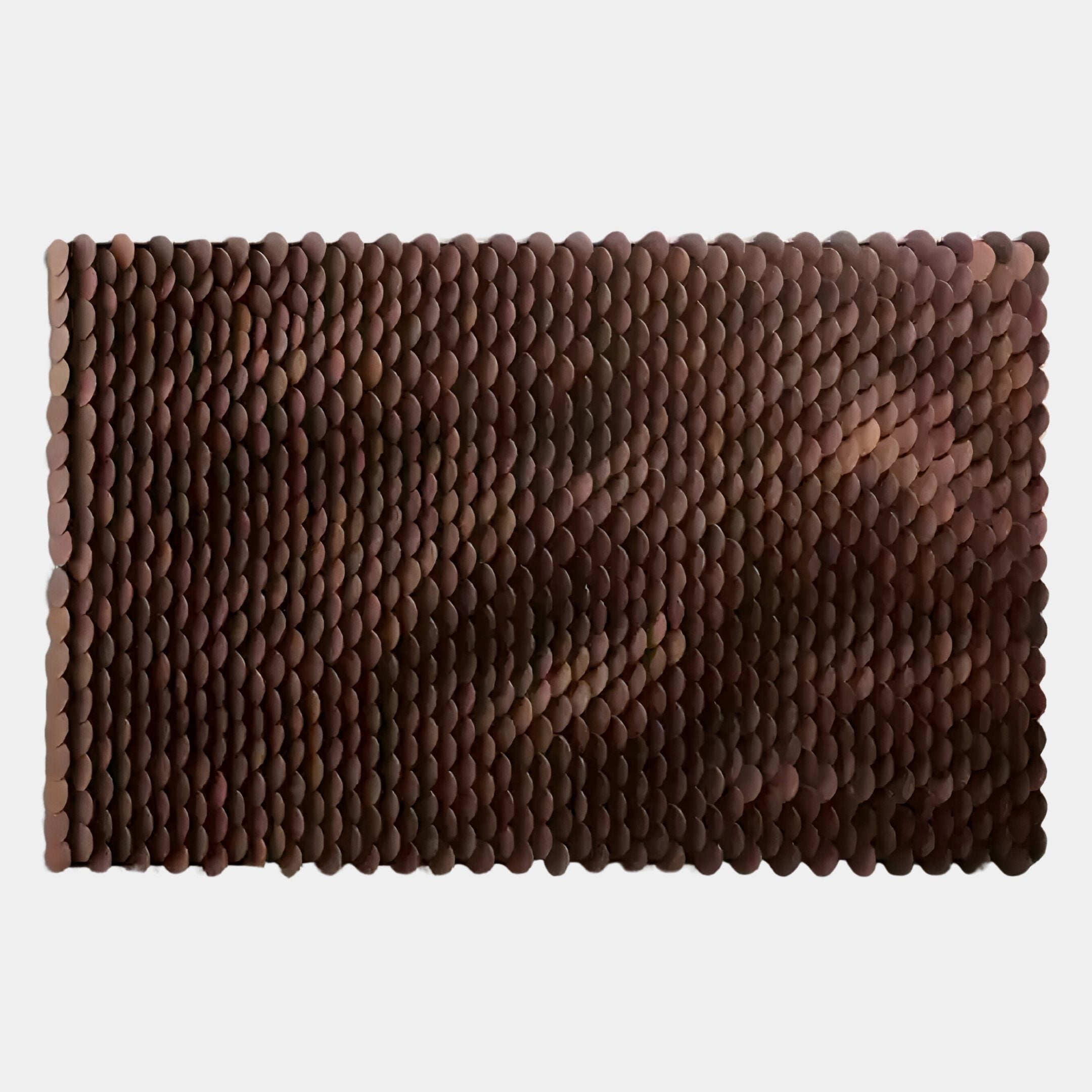 The Serica Brown Scale Textured Horizontal 3D Wooden Wall Art by Giant Sculptures features overlapping dark brown discs in neat rows, forming a textured grid on a plain white background.