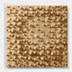 The Orbila Wooden Spheres Dynamic 3D Wall Art In Acrylic Box by Giant Sculptures features a grid of wooden blocks with various-sized spheres and round details, creating unique textured wall art for modern spaces.