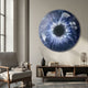 Genesis Starlight 3D Resin Crystal Porcelain LED Wall Art mounted above a wooden console with books in a sunlit living room beside a grey armchair.