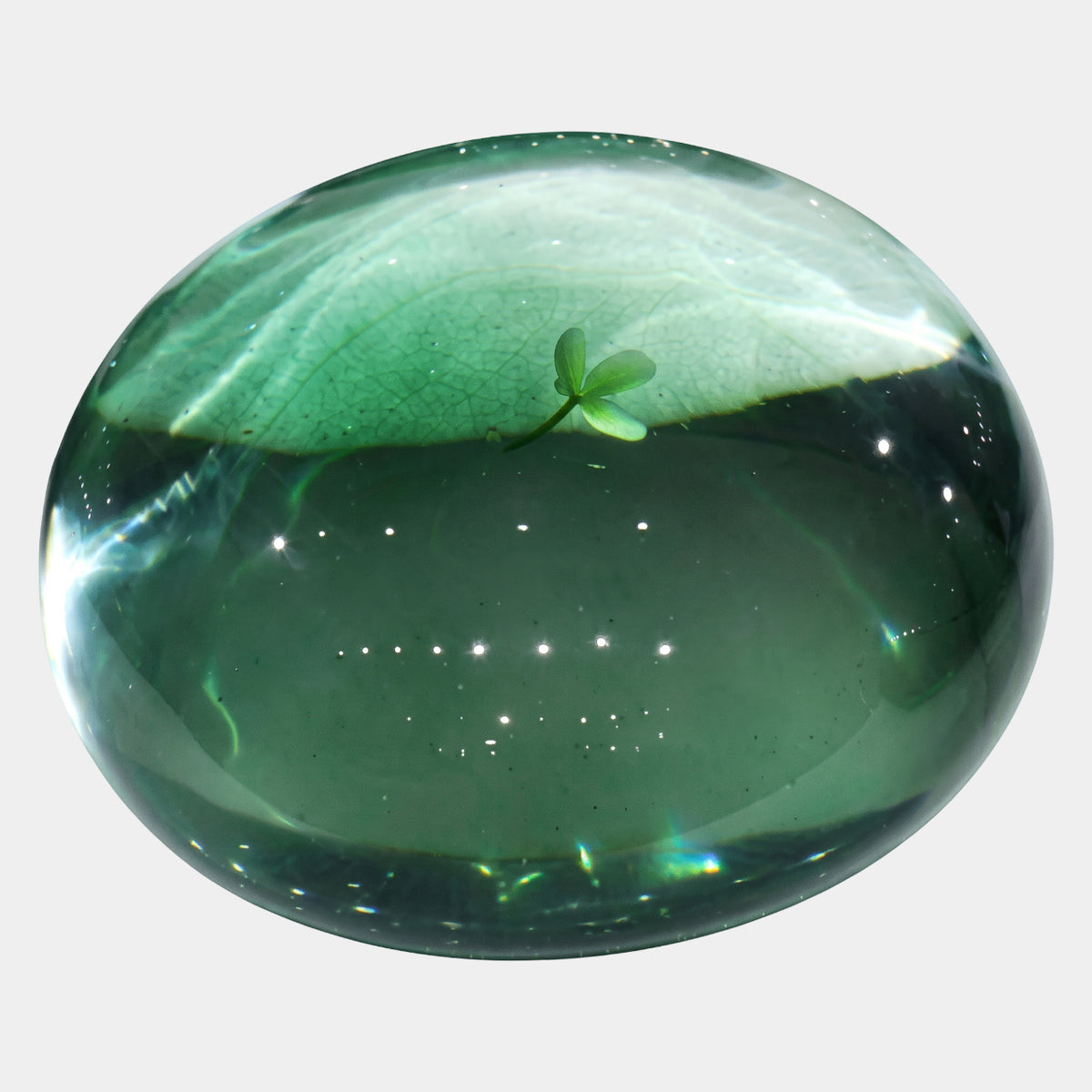 Green Embedded Sprout Dome Resin Sculpture - 25cm