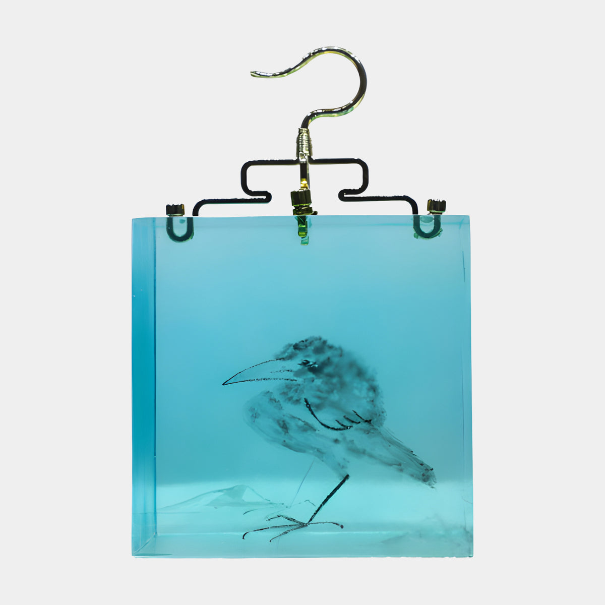 Ink Bird in Aqua Resin Hanging Sculpture - 37cm, a long-beaked bird sketched in dark ink within a clear aqua resin block, suspended by a black carrier and gilded hook against a plain light background.