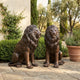 Classical Paired Sentinel Lions Bronze Sculpture by Giant Sculptures, two 130cm seated lions with warm brown patina on a stone patio beside hedges and lavender.