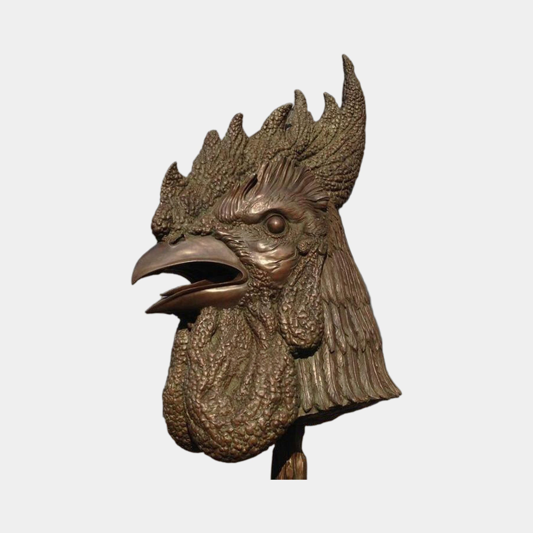 Contemporary Crowing Rooster Head Bronze Sculpture by Giant Sculptures, 45cm, side profile with open beak and textured warm brown patina on a plain background.