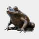 Contemporary Seated Frog Bronze Fountain by Giant Sculptures shown in side profile with dark brown patina, polished eyes, and webbed feet against a plain background.
