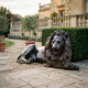 Large Classical Recumbent Lion Bronze Sculpture by Giant Sculptures with dark patina, resting on a gravel terrace beside clipped hedges and a balustraded estate.