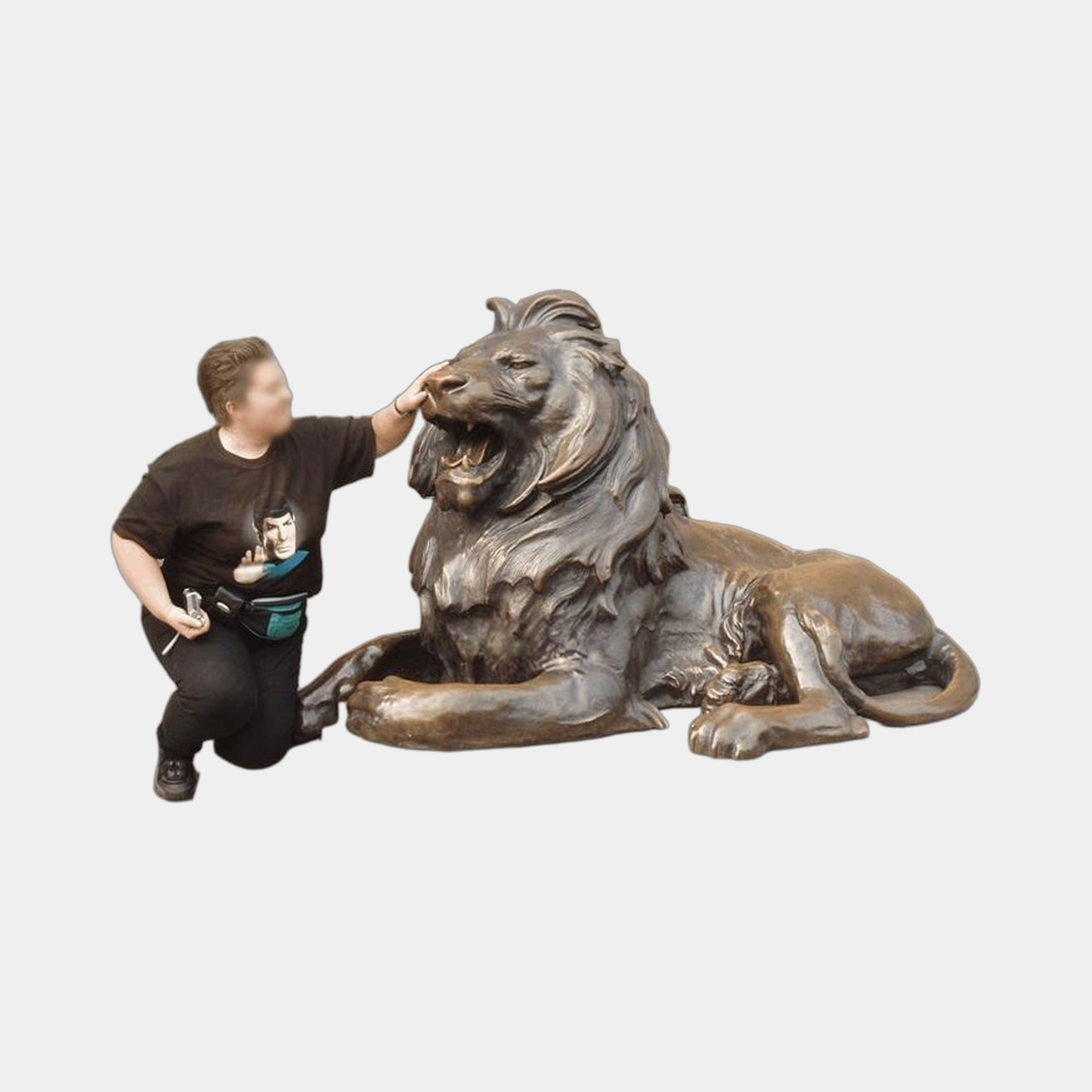 Large Classical Recumbent Roaring Lion Bronze Sculpture by Giant Sculptures, 150cm, dark brown patina, shown beside a kneeling person for scale.