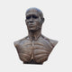 Large Contemporary Anatomical Male Bust Bronze Sculpture by Giant Sculptures, front view of the 110cm écorché figure with dark patina on a plain background.