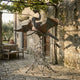 Large Contemporary Dual Dragon Bronze Sculpture by Giant Sculptures, 250cm, displayed on a stone courtyard beside a wooden bench under a vine-covered pergola.