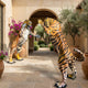 Giant Sculptures Large Contemporary Fighting Tigers Bronze Sculpture 220cm in polychrome finish, rearing tigers facing off in a Mediterranean courtyard archway.