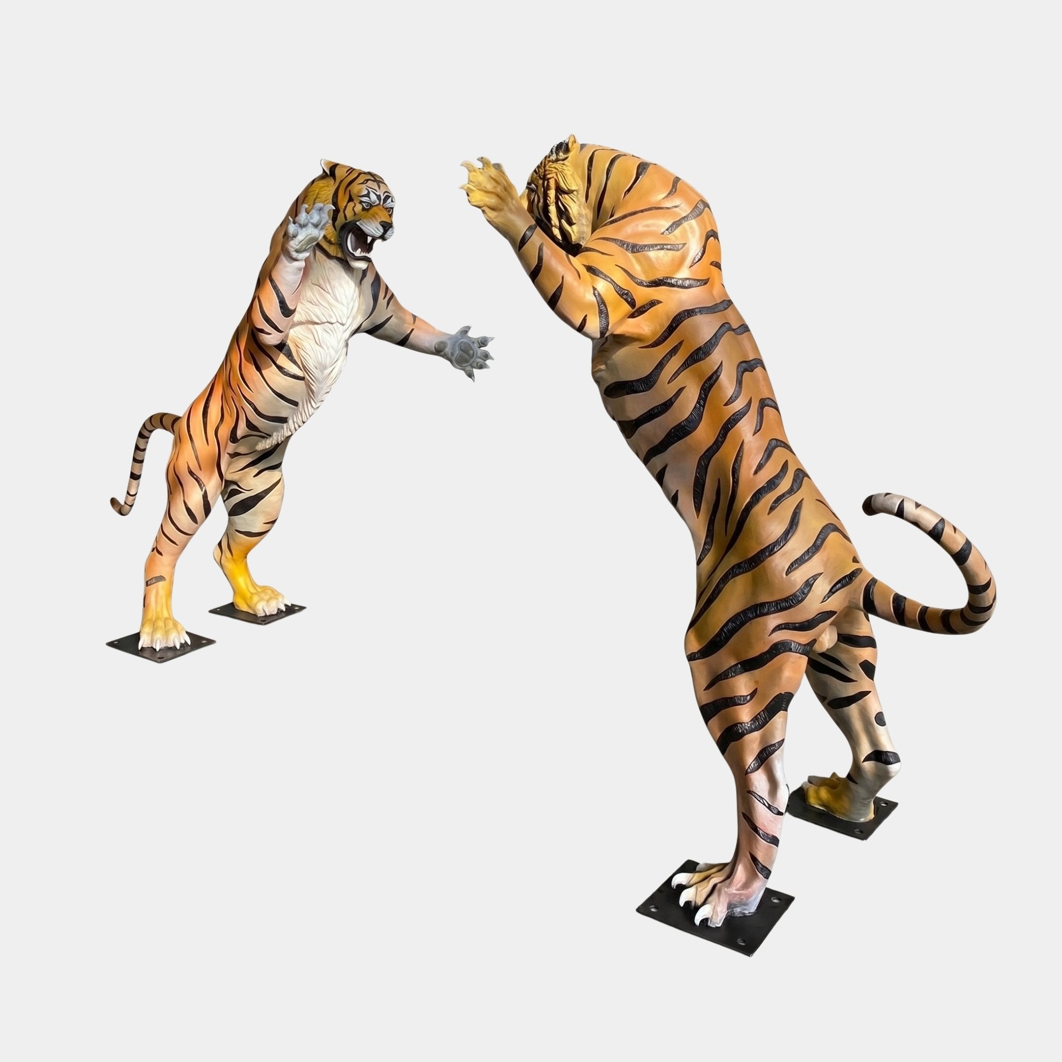 Large Contemporary Fighting Tigers Bronze Sculpture by Giant Sculptures, two 220cm tigers rearing on hind legs in polychrome orange and black, on black base plates.