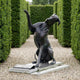 Large Contemporary Great Dane Dog Bronze Sculpture by Giant Sculptures, seated with raised paw and head tilted back, on a plinth in a hedge-lined gravel path.