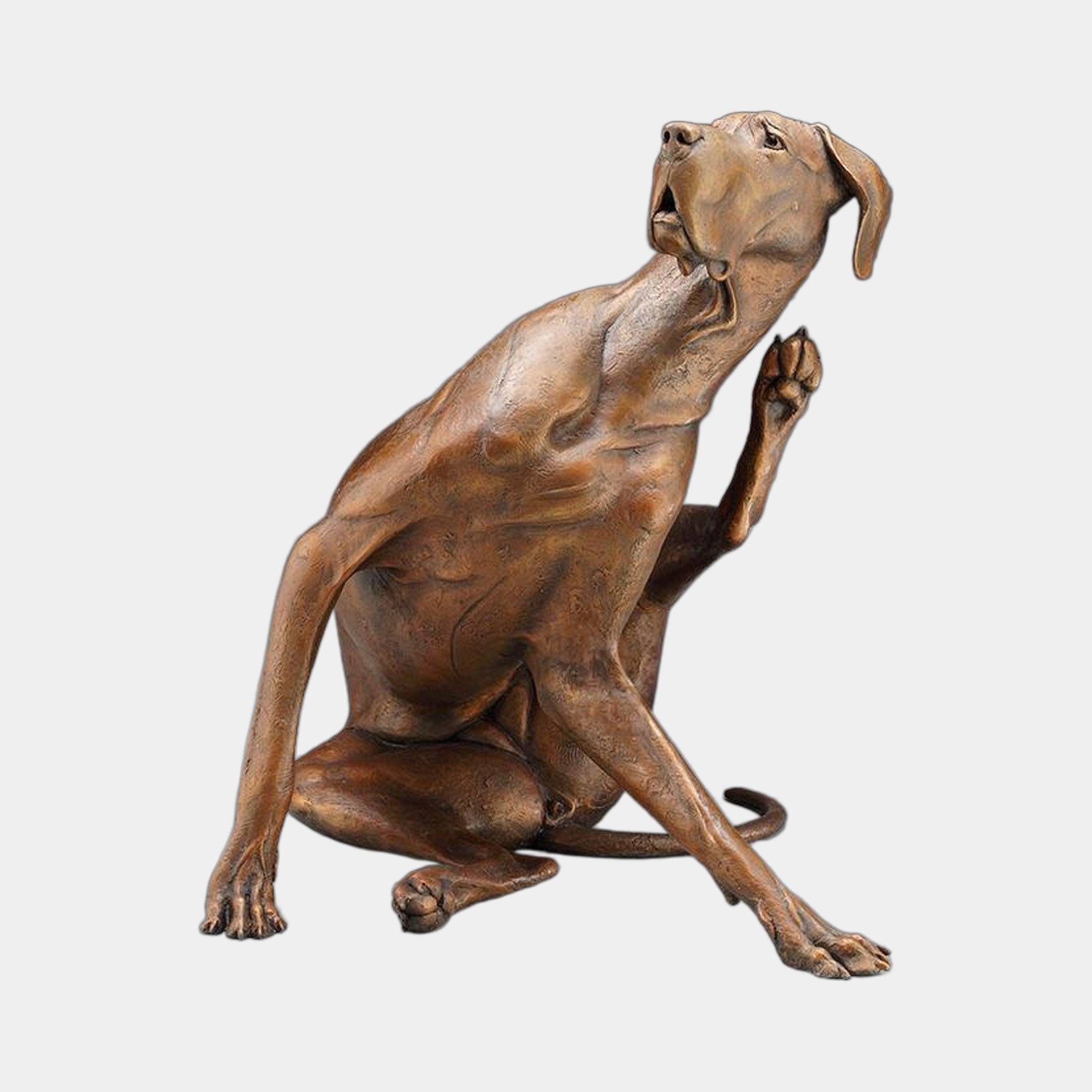 Giant Sculptures Large Contemporary Scratching Dog Bronze Sculpture 100cm, seated hound with raised paw and tilted head, warm mid-brown patina, plain background.