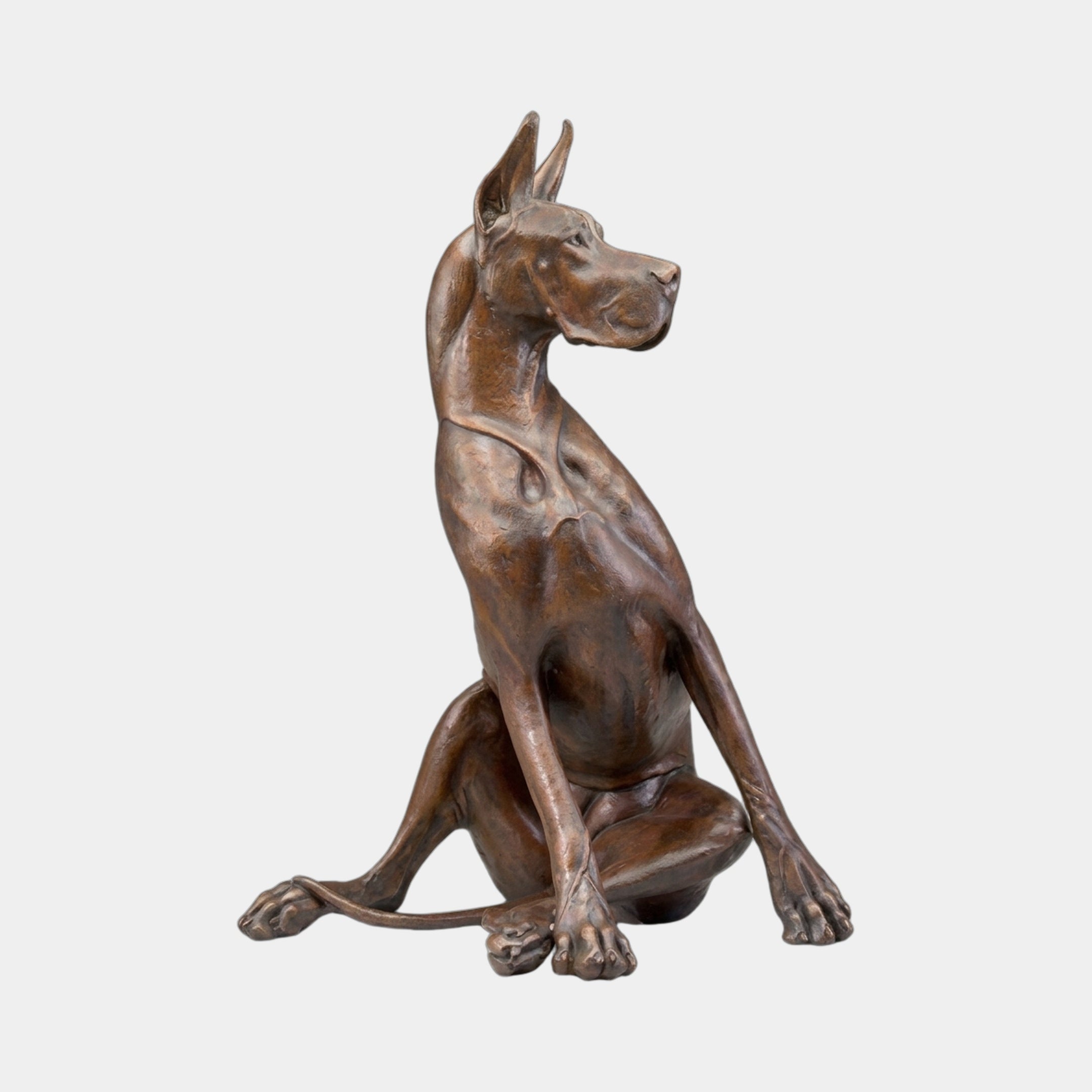 Large Contemporary Seated Great Dane Bronze Sculpture by Giant Sculptures in warm brown patina, shown in side profile with head turned right, on a plain background.