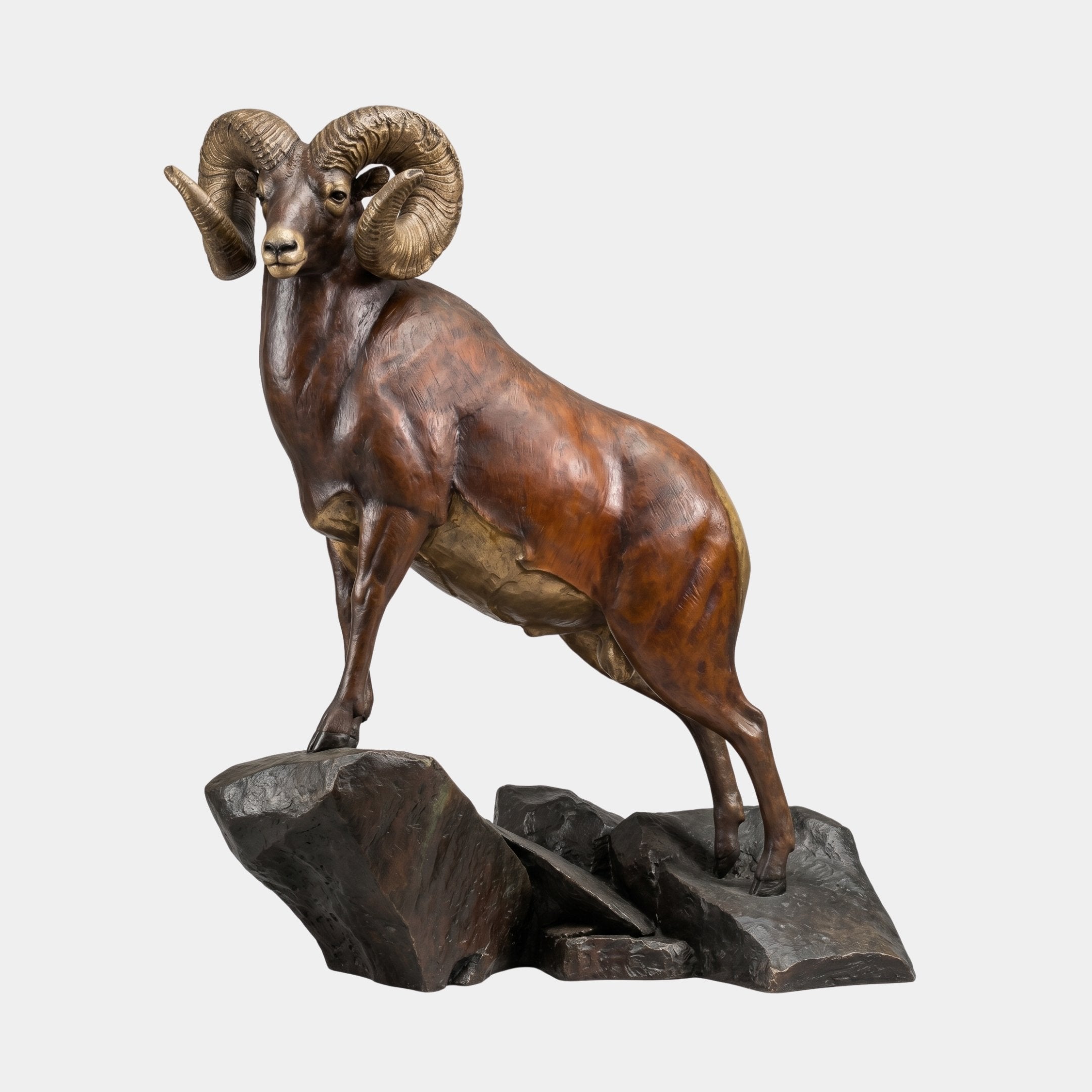 Giant Sculptures Large Traditional Bighorn Rams Bronze Sculpture in reddish-brown patina with gold-toned spiralling horns, posed on a dark rocky base against white.