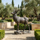 Large Traditional Bugling Bull Elk Bronze Sculpture by Giant Sculptures on a stone base in a formal garden with boxwood hedges, olive trees and cypresses.