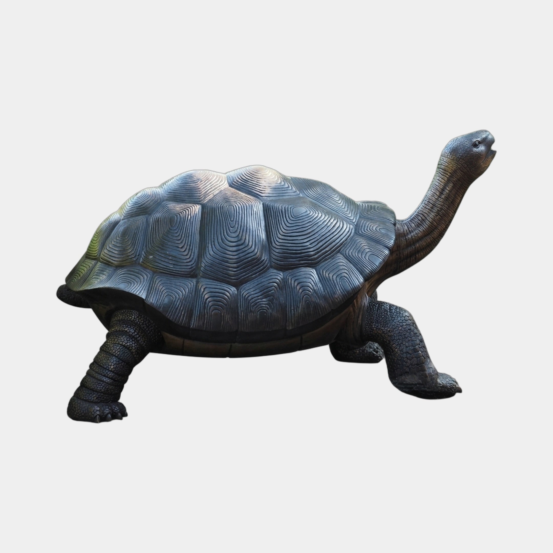 Large Traditional Galapagos Tortoise Bronze Fountain by Giant Sculptures, 80cm, shown in side profile with head raised, detailed shell and dark patina, on a plain background.