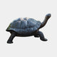 Large Traditional Galapagos Tortoise Bronze Fountain by Giant Sculptures, 80cm, shown in side profile with head raised, detailed shell and dark patina, on a plain background.