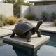 Large Traditional Giant Tortoise Bronze Sculpture by Giant Sculptures with neck raised, displayed on a concrete platform above a pool in a modern desert garden.