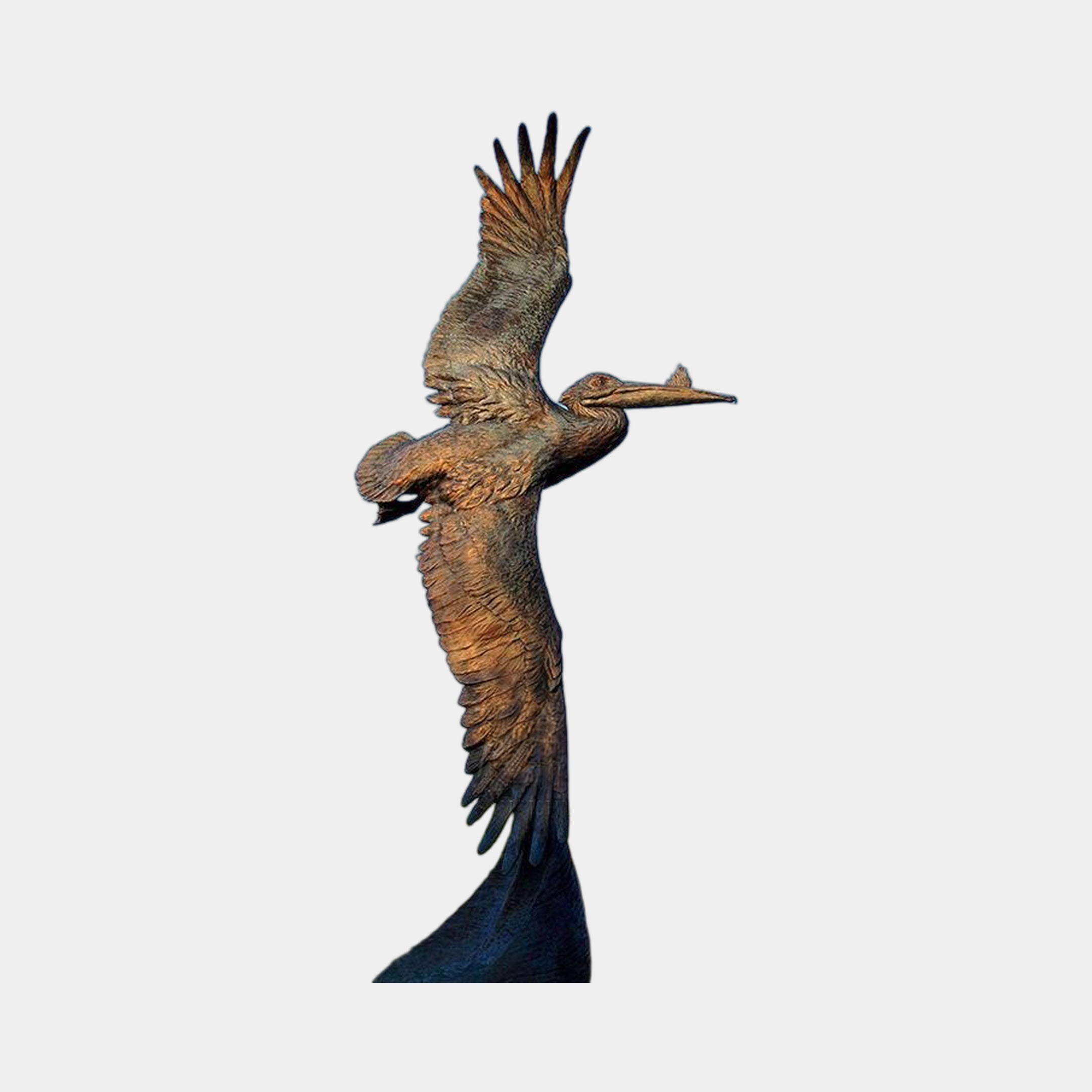 Large Traditional Pelican in Flight Bronze Sculpture by Giant Sculptures, wings raised mid-flight with warm brown patina, shown against a plain light grey background.