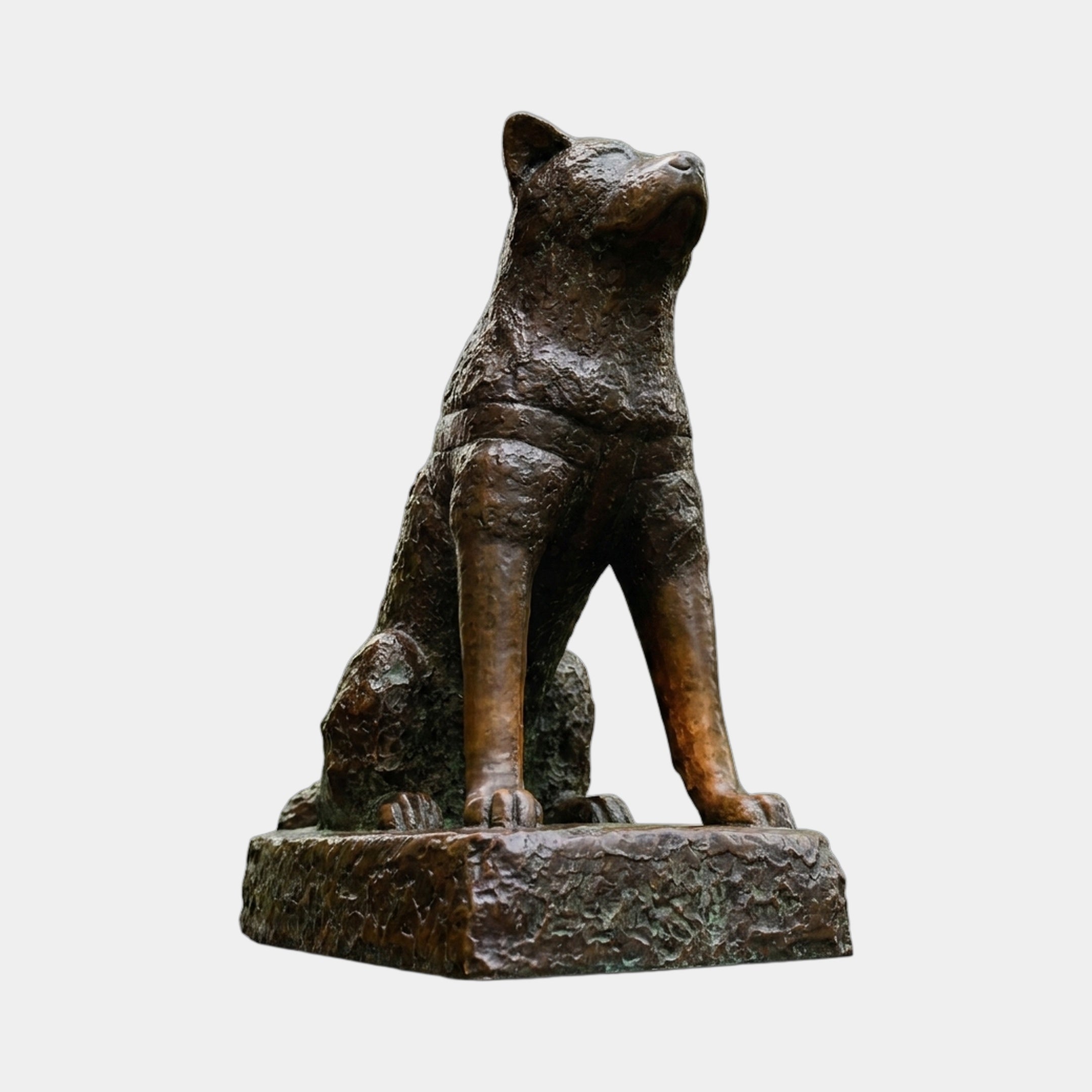 Large Traditional Seated Akita Dog Bronze Sculpture by Giant Sculptures, shown seated upright with head tilted skyward on a rocky base against a plain background.