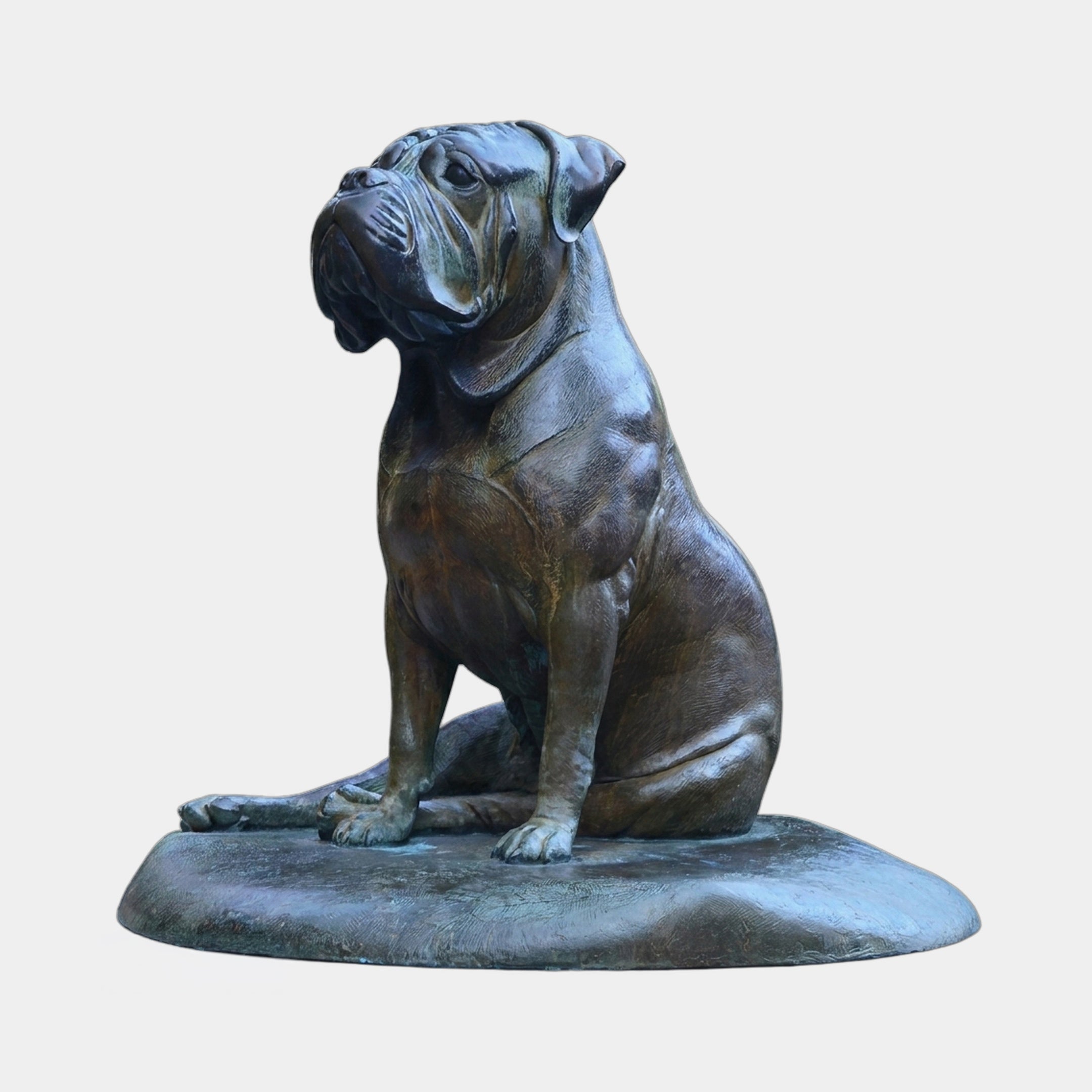Giant Sculptures Large Traditional Seated Bulldog Bronze Sculpture 100cm, seated on an oval base with dark brown patina and green oxidation, on plain background.