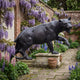 Large Traditional Stalking Panther Bronze Sculpture by Giant Sculptures in a snarling crouch on a stone plinth, set on a garden path beside wisteria.