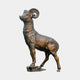 Life-Size Bighorn Ram Bronze Sculpture by Giant Sculptures shown in side profile with head raised, curled horns, warm brown patina, on a rocky base.